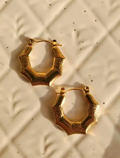 Ever Shine Hoops